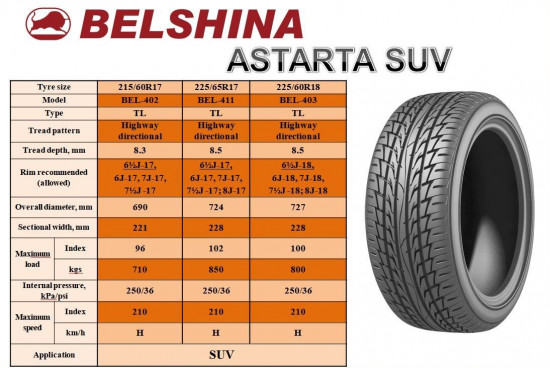 Характеристики 225/60 R18 Astrata
