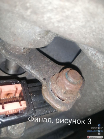 IMG_20250605_201558_870.jpg